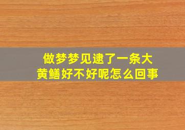 做梦梦见逮了一条大黄鳝好不好呢怎么回事