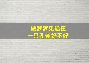 做梦梦见逮住一只孔雀好不好