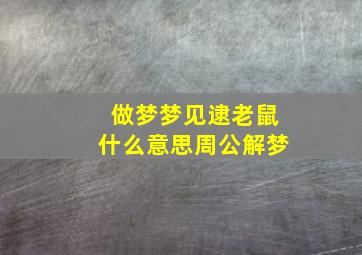 做梦梦见逮老鼠什么意思周公解梦