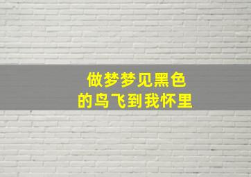 做梦梦见黑色的鸟飞到我怀里