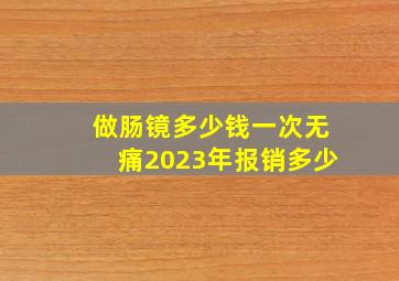 做肠镜多少钱一次无痛2023年报销多少