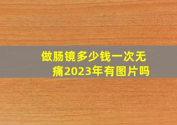 做肠镜多少钱一次无痛2023年有图片吗