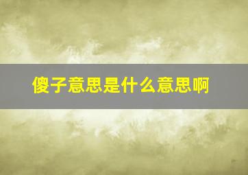 傻子意思是什么意思啊