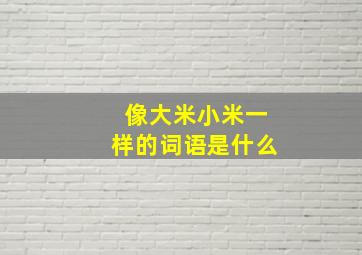 像大米小米一样的词语是什么