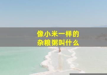 像小米一样的杂粮粥叫什么