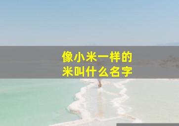 像小米一样的米叫什么名字