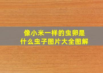 像小米一样的虫卵是什么虫子图片大全图解