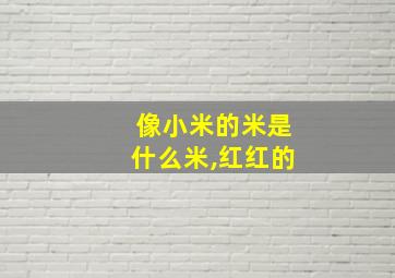 像小米的米是什么米,红红的