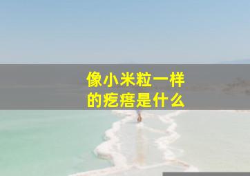 像小米粒一样的疙瘩是什么