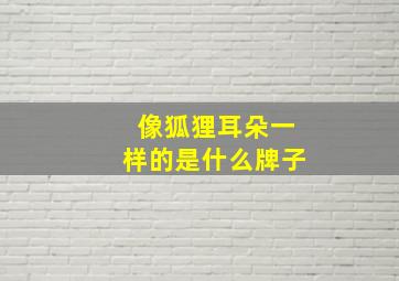 像狐狸耳朵一样的是什么牌子