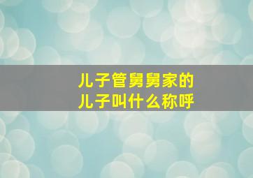 儿子管舅舅家的儿子叫什么称呼