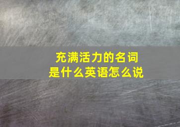 充满活力的名词是什么英语怎么说