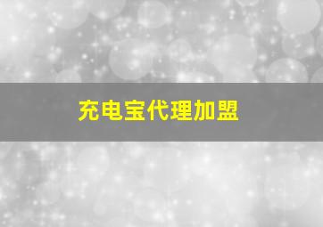 充电宝代理加盟