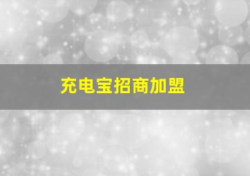 充电宝招商加盟