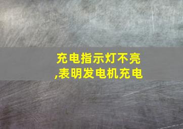 充电指示灯不亮,表明发电机充电