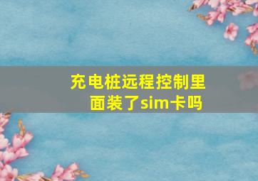 充电桩远程控制里面装了sim卡吗