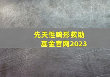 先天性畸形救助基金官网2023