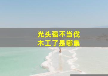 光头强不当伐木工了是哪集