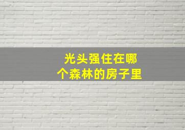 光头强住在哪个森林的房子里