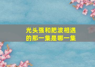 光头强和肥波相遇的那一集是哪一集