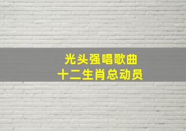 光头强唱歌曲十二生肖总动员