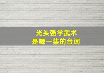 光头强学武术是哪一集的台词