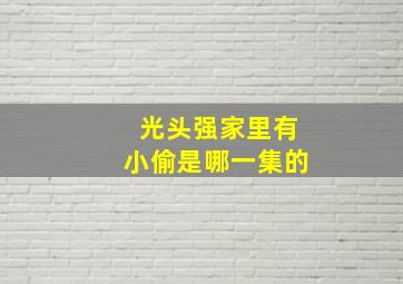 光头强家里有小偷是哪一集的