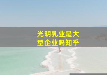 光明乳业是大型企业吗知乎