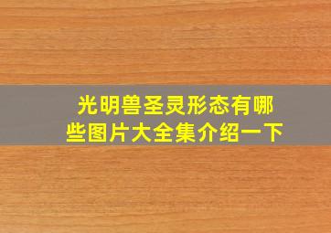 光明兽圣灵形态有哪些图片大全集介绍一下