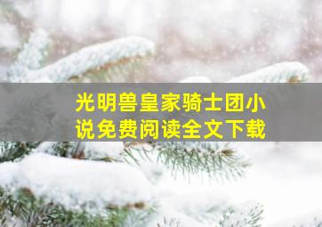 光明兽皇家骑士团小说免费阅读全文下载