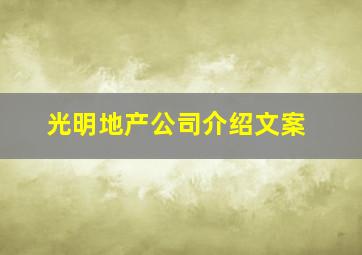 光明地产公司介绍文案