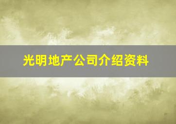 光明地产公司介绍资料