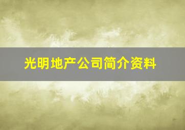 光明地产公司简介资料