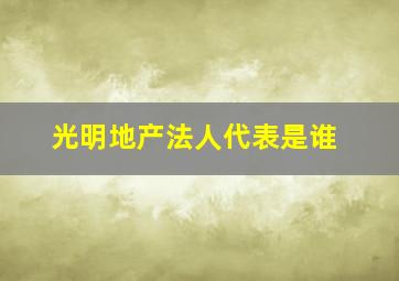 光明地产法人代表是谁