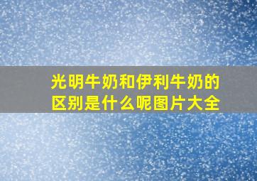 光明牛奶和伊利牛奶的区别是什么呢图片大全