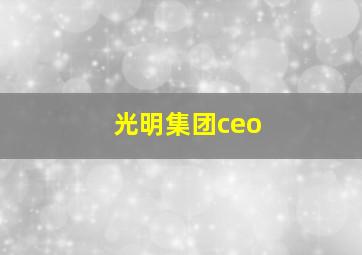 光明集团ceo