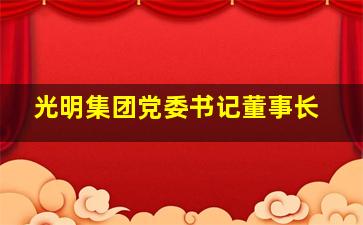 光明集团党委书记董事长