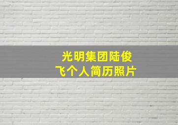 光明集团陆俊飞个人简历照片