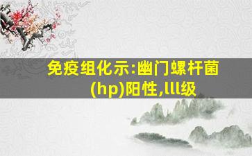 免疫组化示:幽门螺杆菌(hp)阳性,lll级