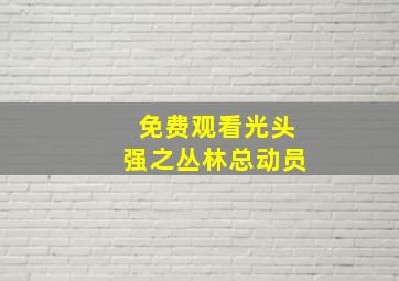 免费观看光头强之丛林总动员