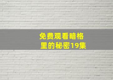 免费观看暗格里的秘密19集