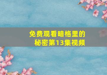 免费观看暗格里的秘密第13集视频