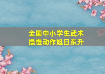 全国中小学生武术操慢动作旭日东升