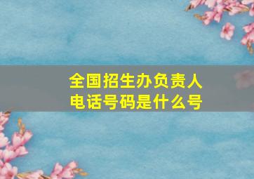 全国招生办负责人电话号码是什么号