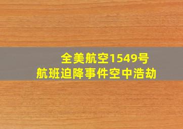 全美航空1549号航班迫降事件空中浩劫