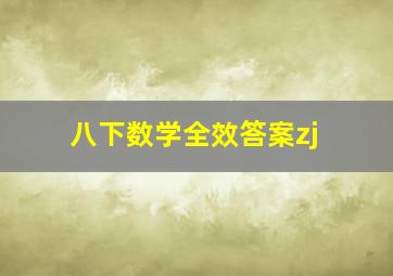 八下数学全效答案zj