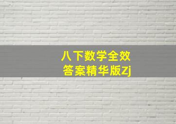 八下数学全效答案精华版Zj