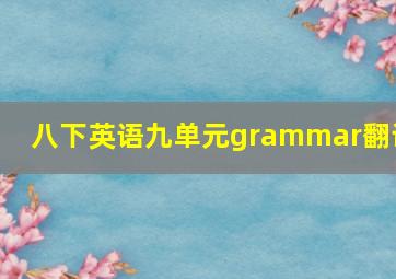 八下英语九单元grammar翻译