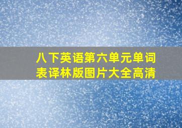 八下英语第六单元单词表译林版图片大全高清