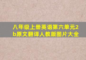 八年级上册英语第六单元2b原文翻译人教版图片大全